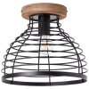 Brilliant Avia Ceiling Light black, 1-light source
