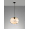 Fischer & Honsel Ink Pendant Light black, 1-light source