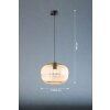 Fischer & Honsel Ink Pendant Light black, 1-light source