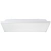 Brilliant Malgas Ceiling Light LED white, 1-light source, Remote control