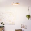 Brilliant Alson Ceiling Light LED white, 1-light source