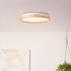 Brilliant Alson Ceiling Light LED white, 1-light source