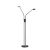 FHL easy Luna Floor Lamp LED black, 2-light sources