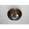 Trio Colino Ceiling Light black, 2-light sources