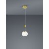 Trio Madison Pendant Light LED brass, 1-light source