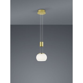 Trio Madison Pendant Light LED brass, 1-light source