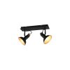 Trio Roxie Ceiling Light black, 2-light sources