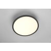 Trio Tray Ceiling Light LED black, 1-light source