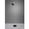 Reality Adam Floor Lamp gold, black, 1-light source