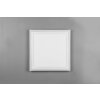 Reality Carus Ceiling Light LED white, 2-light sources