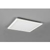 Reality Carus Ceiling Light LED white, 2-light sources