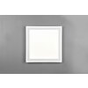 Reality Carus Ceiling Light LED white, 2-light sources