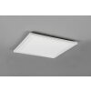 Reality Carus Ceiling Light LED white, 2-light sources