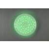 Reality Chizu Ceiling Light LED white, 1-light source, Remote control, Colour changer