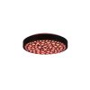 Reality Chizu Ceiling Light LED black, 1-light source, Remote control, Colour changer