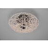 Reality Lovis Ceiling Light black, 2-light sources