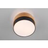 Trio Seasons Ceiling Light matt nickel, 2-light sources