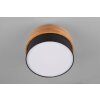Trio Seasons Ceiling Light matt nickel, 2-light sources