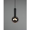 Trio Clayton Pendant Light black, 1-light source