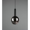 Trio Clayton Pendant Light black, 1-light source