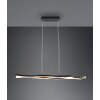 Trio Blaze Pendant Light LED brass, 1-light source