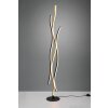 Trio Blaze Floor Lamp LED brass, 1-light source