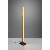 Trio Kerala Floor Lamp LED black, 1-light source