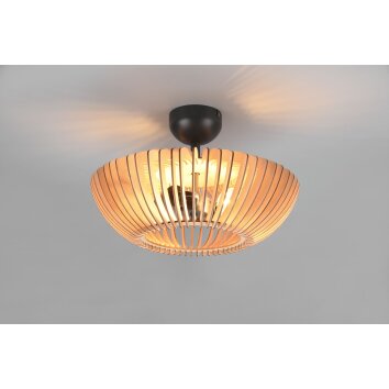 Trio Colino Ceiling Light anthracite, 2-light sources