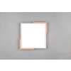 Reality Meta Ceiling Light LED white, 1-light source