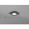 Reality Carus Ceiling Light LED black, 1-light source