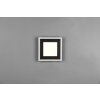 Reality Carus Ceiling Light LED black, 1-light source