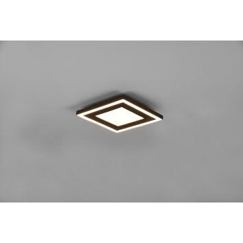 Reality Carus Ceiling Light LED black, 1-light source
