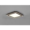 Reality Carus Ceiling Light LED black, 1-light source