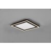 Reality Carus Ceiling Light LED black, 1-light source