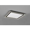 Reality Carus Ceiling Light LED black, 1-light source