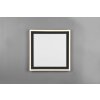 Reality Carus Ceiling Light LED black, 1-light source