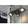 Lutec SHRIMP Outdoor Wall Light LED black, 2-light sources, Motion sensor