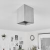 Stettler Ceiling Light grey, 1-light source