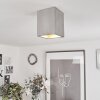 Stettler Ceiling Light grey, 1-light source