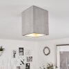 Stettler Ceiling Light grey, 1-light source