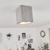 Stettler Ceiling Light grey, 1-light source