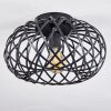 Oravi Ceiling Light black, 1-light source