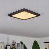 Canditas Ceiling Light LED black, 1-light source