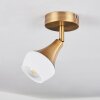 Venizy Ceiling Light antique brass, 1-light source
