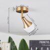 Venizy Ceiling Light antique brass, 1-light source
