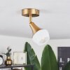 Venizy Ceiling Light antique brass, 1-light source
