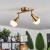 Venizy Ceiling Light antique brass, 2-light sources