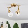 Venizy Ceiling Light antique brass, 2-light sources