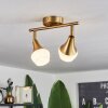 Venizy Ceiling Light antique brass, 2-light sources