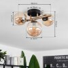 Chehalis Ceiling Light LED brass, black, 3-light sources